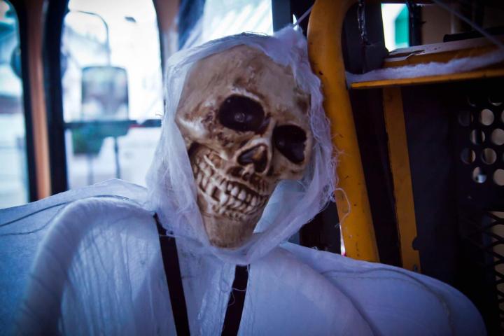 Skeleton Halloween Decoration