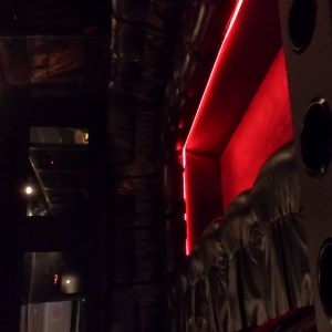 Wisconsin Dells party bus inside